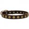 Leather Collie Collar with Brass Dotted Circles for Fashion Walking