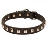 Collie Leather Collar Caterpillar Design