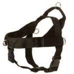 Collie Harness Nylon with Patches
