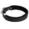 Padded Leather Collie Collar 25 mm for Dog Training