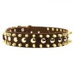 Spiked and Studded Collie Leather Collar