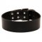 Extra Wide Leather Collie Collar for Professional Training