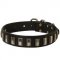 Collie Leather Collar with Shiny Plates