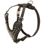 Spiked Leather Collie Harness for Fashionable Walking