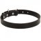Collie Leather Dog Collar 1 inch Wide