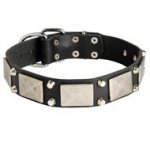 Leather Collie Collar Decorated with Nickel Cones and Plates