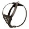 Designer Leather Collie Harness with Adjustable Straps for Puppy Walking and Training