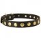 Leather Collie Collar with Brass Circles for Fashionable Walking