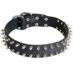 Leather Collie Collar with 2 Rows of Nickel Spikes