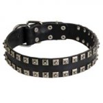 New Leather Collie Collar - Fashion Exclusive Design - "Caterpillar"