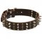 Collie Spikes and Studs Rows Leather Dog Collar
