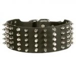 Collie Leather Collar Spiked and Studded