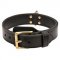 Training 2 Ply Leather Collie Collar