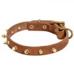 Walking Designer Leather Collie Collar with Brass Spikes