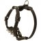 Durable Spiked Leather Puppy Collie Harness