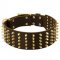 Wide Spiked Leather Collie Collar