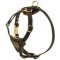 Tracking Walking Walking Leather Collie Harness for Puppies