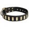 Fancy Leather Collie Collar with Brass Plates