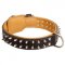 Spiked Collie Collar Padded with Nappa Leather