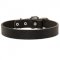 Collie Leather Dog Collar For Pleasant Wearing