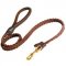 Collie Leather Braided Dog Leash