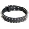 Leather Collie Collar with 2 Rows of Nickel Spikes