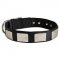 Nylon Collie Collar Massive Nickel Plates