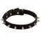 Collie Leather Collar Spiked 3/4 Inch