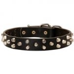 Fancy Design Leather Collie Collar with Nickel Pyramids