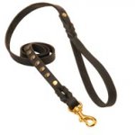 Studded Leather Collie Leash for Dog Walking and Training