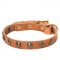 Leather Collie Collar with Brass Half-Ball Studs