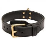 Training 2 Ply Leather Collie Collar