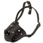 Everyday Leather Collie Muzzle for Training