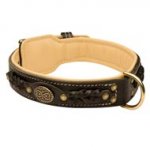 Collie Leather Collar Braided