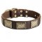 Leather Collie Collar with Massive Brass Plates
