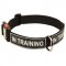 All Weather Nylon Collie Collar with ID Patches
