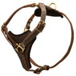 Tracking Leather Collie Harness With Y-Chest Plate