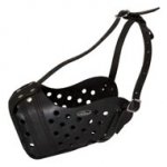 Easy Adjustable Leather Collie Muzzle for Agitation Training