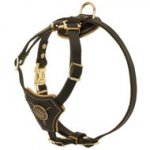Tracking Walking Walking Leather Collie Harness for Puppies
