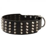 Extra Wide 4 Rows Studded Leather Collie Collar