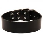 Extra Wide Leather Collie Collar for Professional Training