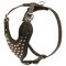 Adjustable Leather Collie Harness Studded for Fashion Walking