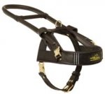 Guide and Assistance Leather Collie Harness