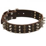 Collie Spikes and Studs Rows Leather Dog Collar