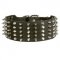Collie Leather Collar Spiked and Studded