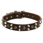 Leather Collie Collar With Studs and Pyramids