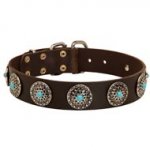 Leather Collie Collar with Blue Stones for Stylish Walking