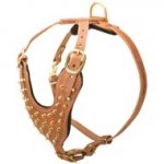 Brass Spiked Leather Collie Harness for Fashion Walking