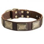 Leather Collie Collar with Massive Brass Plates