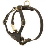 Spruce Leather Collie Harness With Small Chest Plate